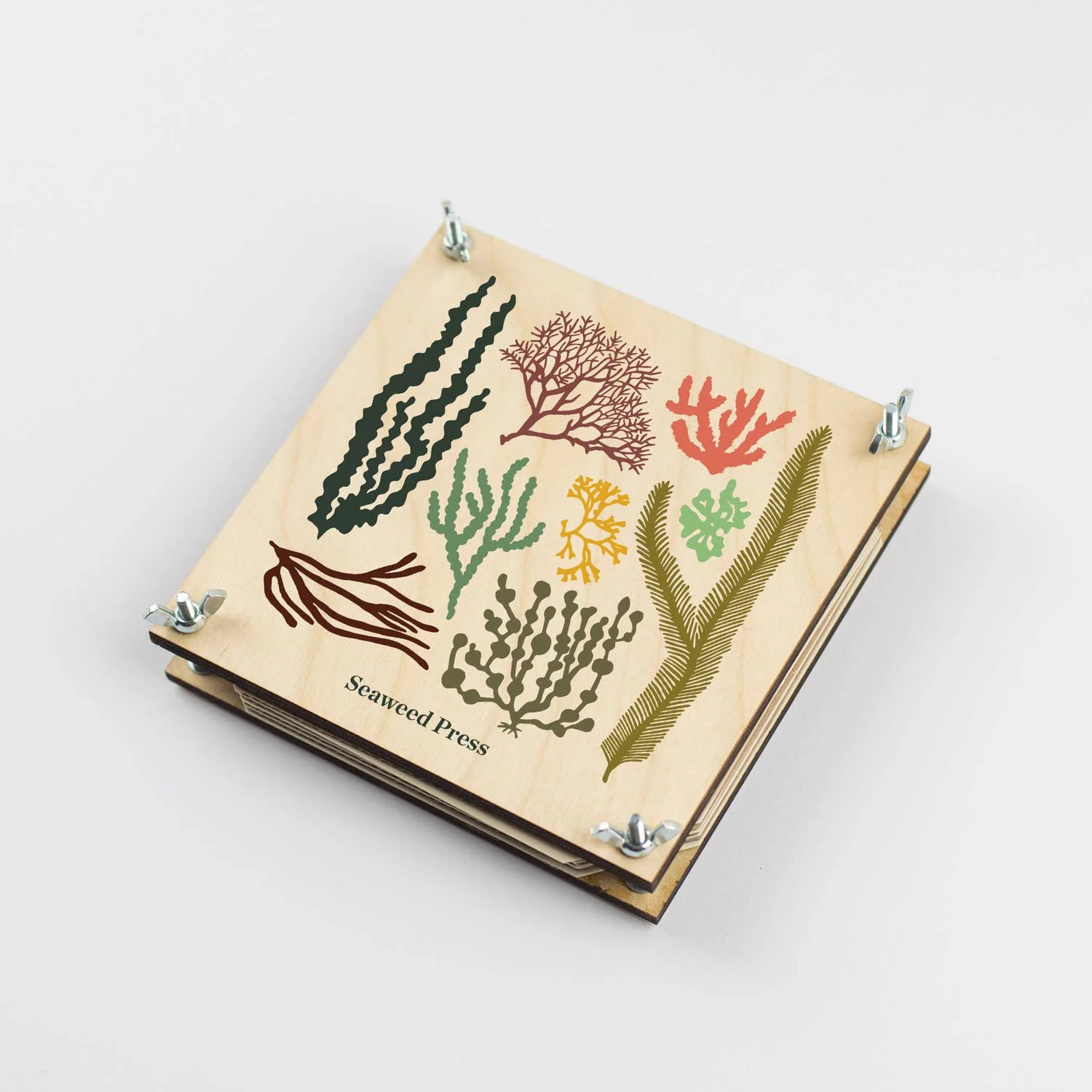 Seaweed Press Kit - Image 2
